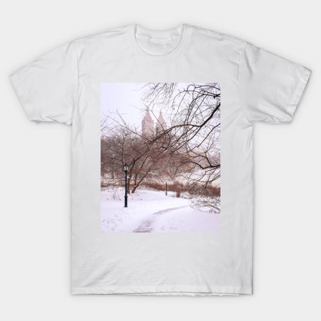 New York Winter 2 T-Shirt by igjustin